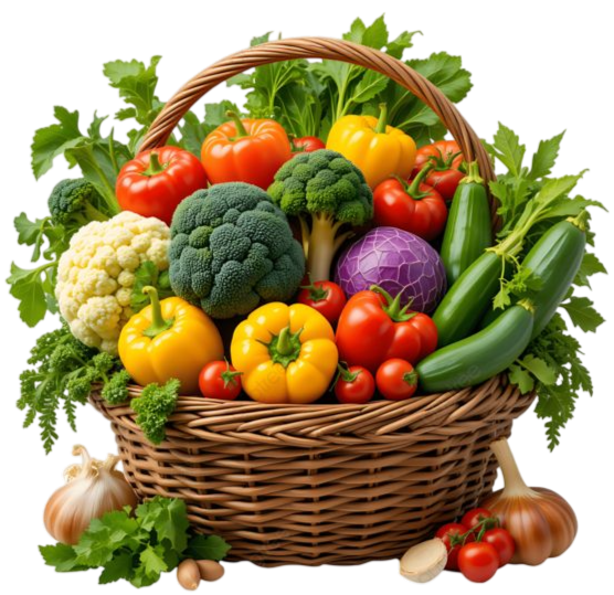 Fruits and Vegetables