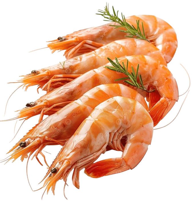 Seafood