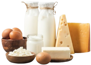 Eggs & Cheese